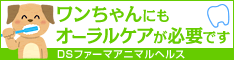 ワンちゃんにもオーラルケアが必要です